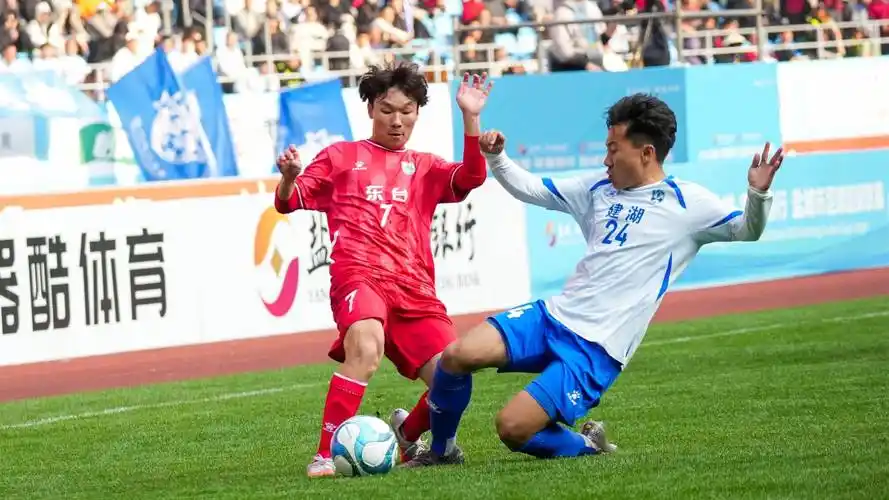 雨燕免费直播在线观看